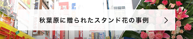 秋葉原 花屋 はなしごと