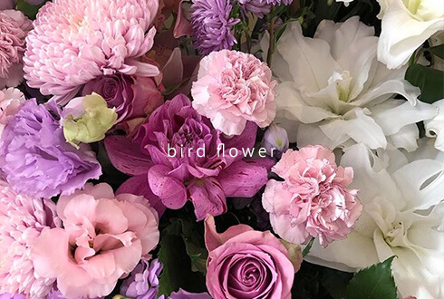 Birdflower はなしごと