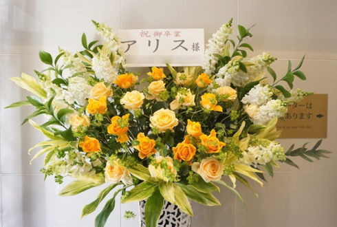 歌舞伎町猫遊技場(ネコカジ)新宿 アリス様卒業祝いスタンド花