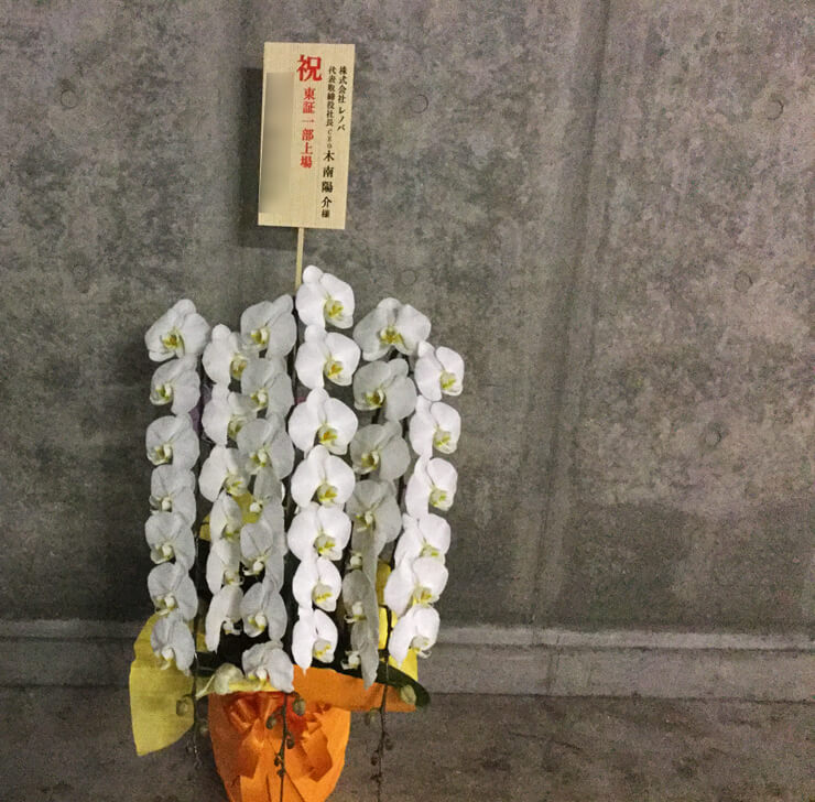 大手町 株式会社レノバ様の上場祝い胡蝶蘭 はなしごと