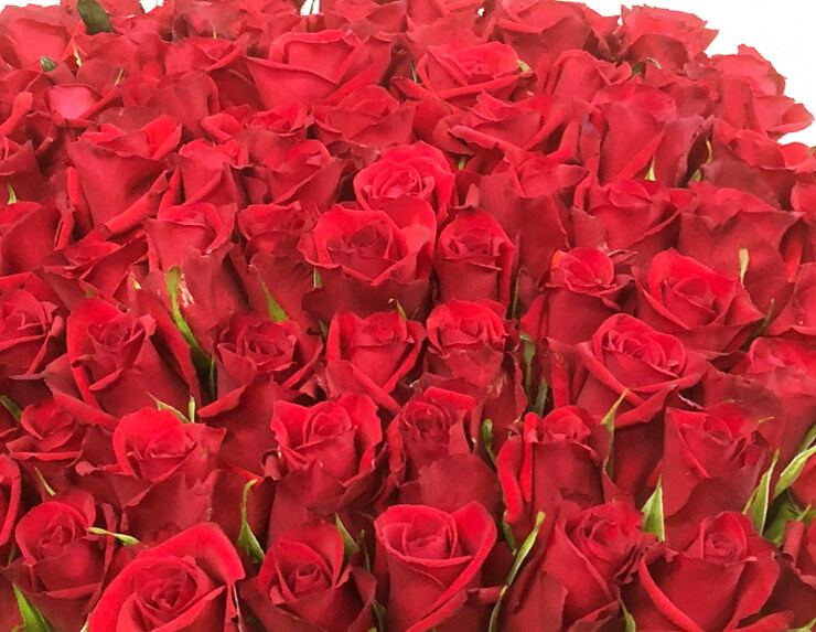 木更津市 喜寿祝い77歳の誕生日プレゼントに赤バラ花束