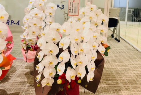 台東区松が谷 カワダロボテックス株式会社様の移転祝い胡蝶蘭