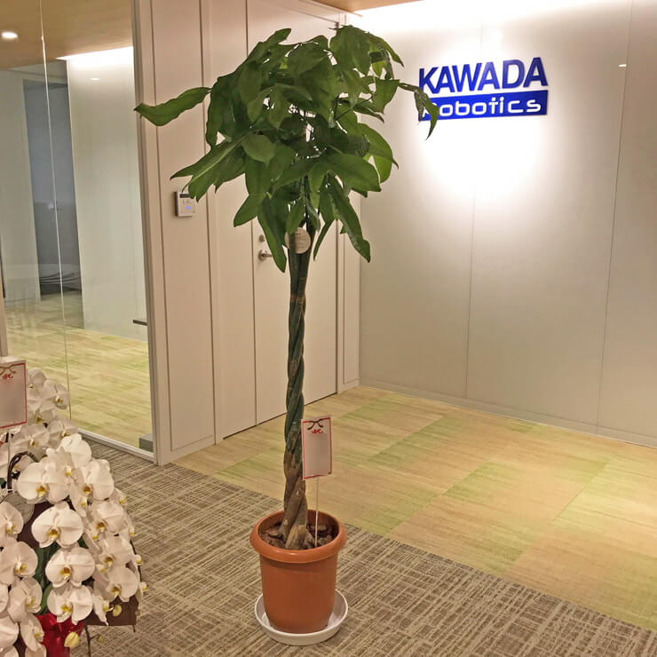 台東区松が谷 カワダロボテックス株式会社様の移転祝い観葉植物