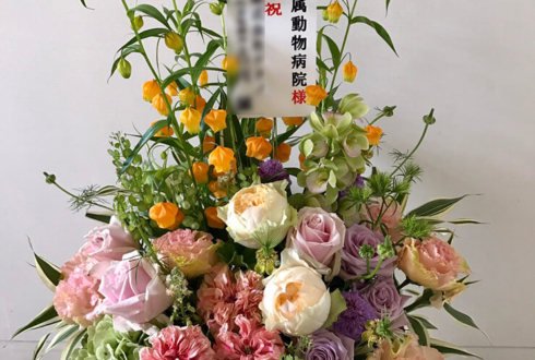 北千住 帝京科学大学 附属動物病院様の開院祝い花