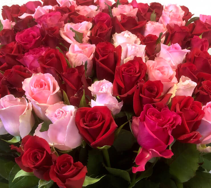 大阪府堺市 古希祝い70歳の誕生日プレゼントピンクバラMixの花束70本