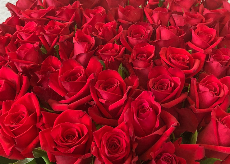 練馬区 お母さまの古希祝いに赤バラ花束50本