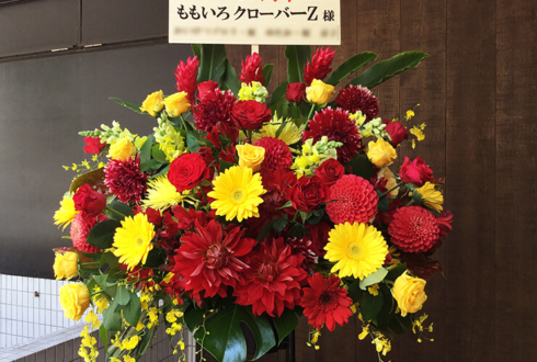 東京ドーム ももいろクローバーZ様の10周年記念ライブ公演祝いスタンド花