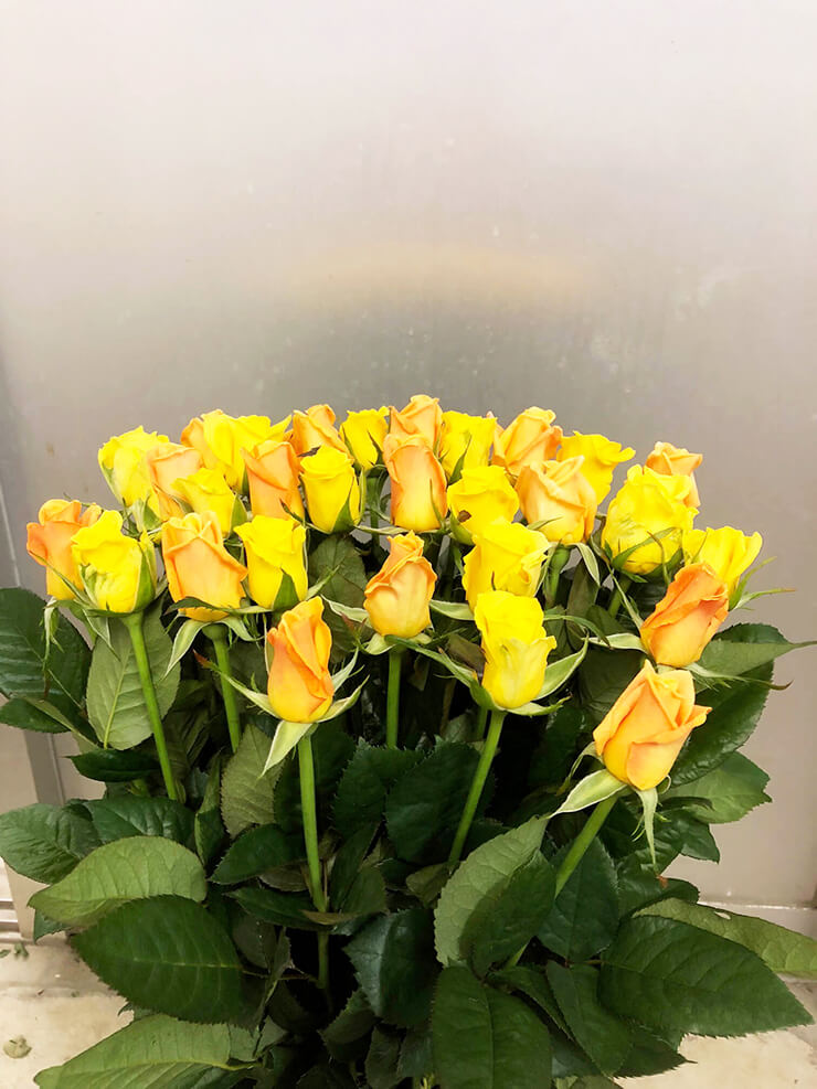 姫路市 誕生日プレゼントに黄・オレンジミックスバラの花束30本