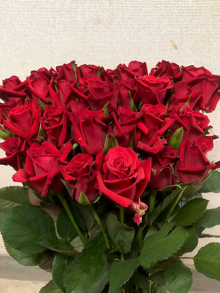 埼玉県に住むお母様の誕生日プレゼントに赤バラ花束30本