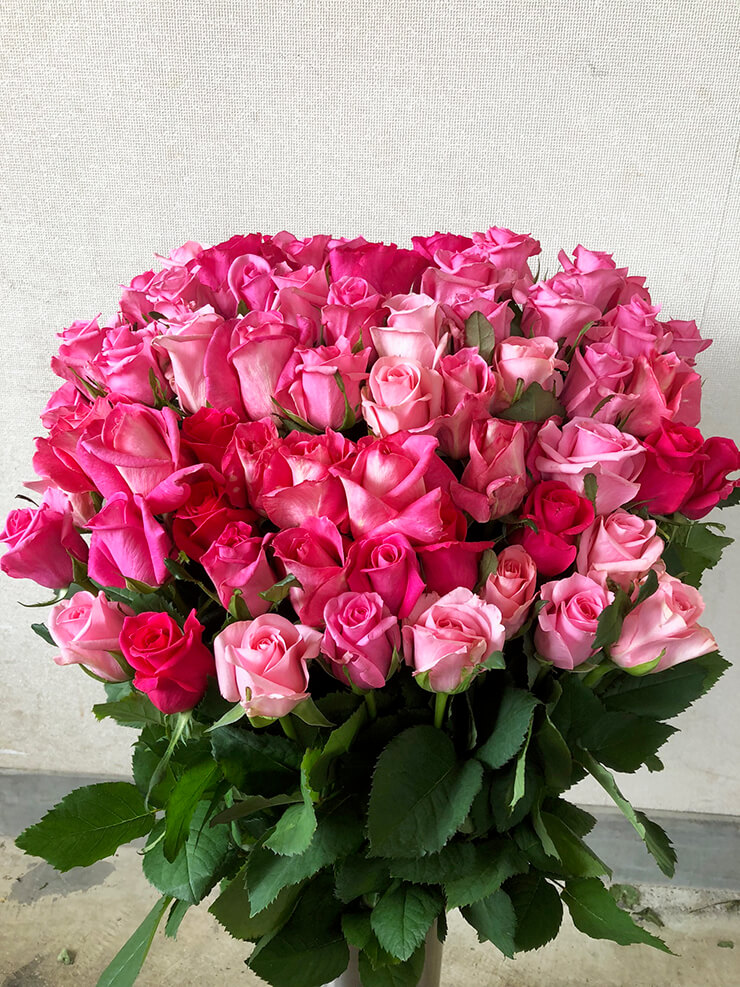北海道根室市 還暦祝いにピンクバラ花束60本