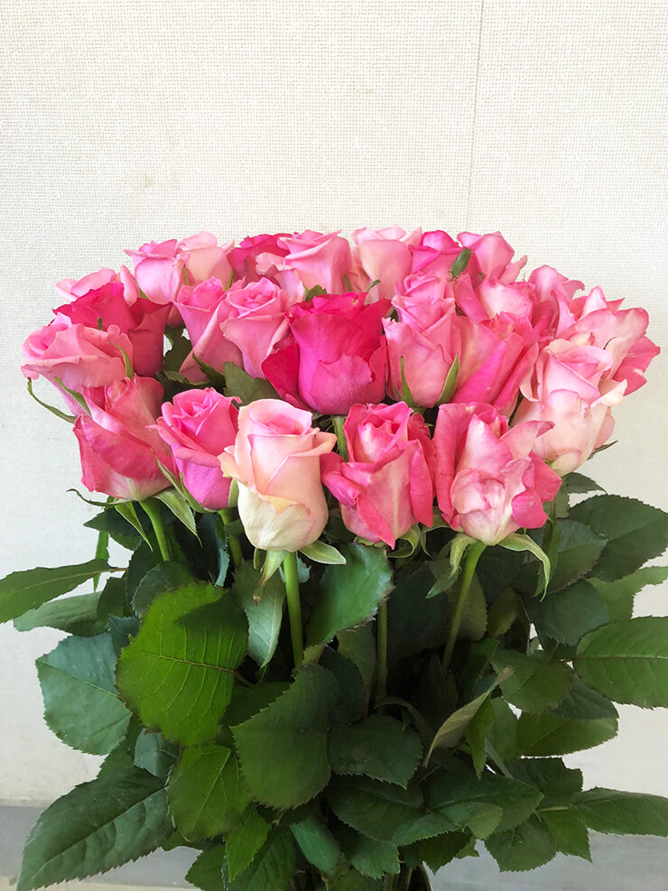練馬 母の日にピンクバラ花束25本