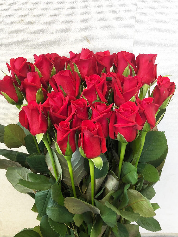 長野市 母の日に赤バラ花束20本