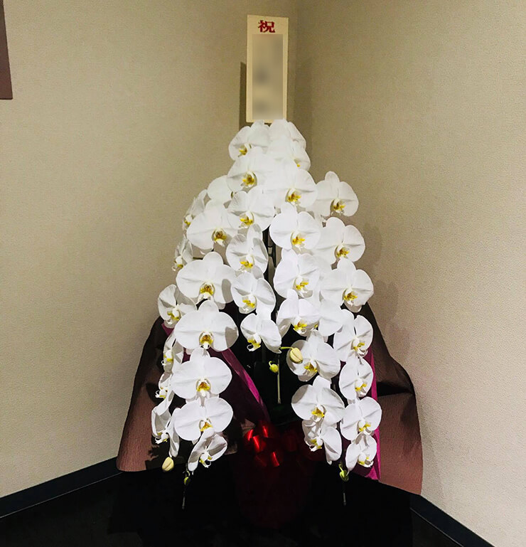 上野 株式会社ケ-アイ オフィス サプライ様の移転祝い胡蝶蘭