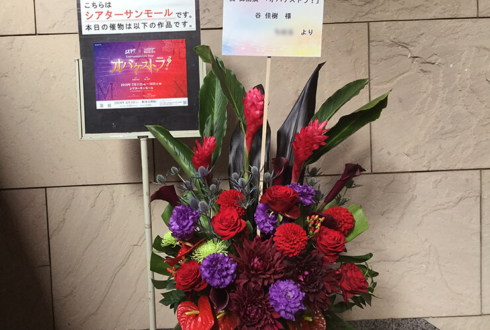 新宿シアターサンモール 谷佳樹様の主演舞台公演祝い花