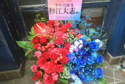 東京芸術劇場 杉江大志様の主演舞台『ケルベロス』公演祝い花