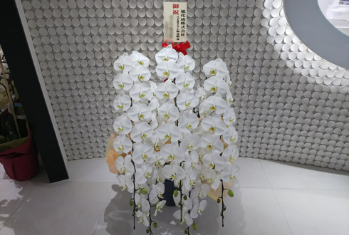 東京ミッドタウン日比谷 旭化成株式会社様の移転祝い胡蝶蘭