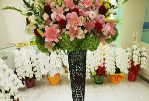 元赤坂 株式会社エイブル様の50周年祝いスタンド花
