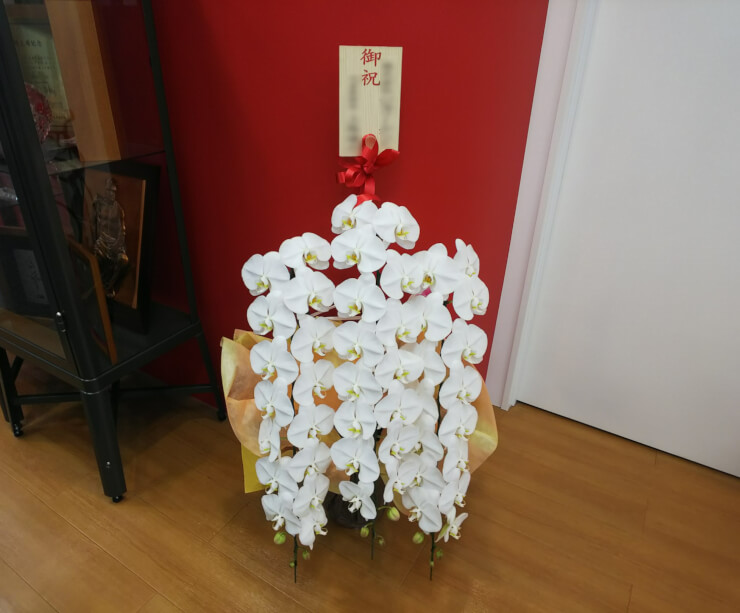 西新宿 株式会社gumi様のお祝い胡蝶蘭