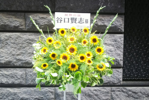 シアターサンモール 谷口賢志様の舞台出演祝いひまわりスタンド花