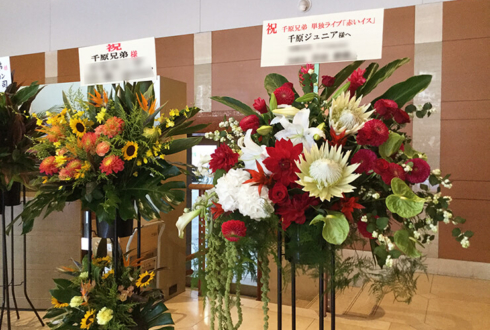恵比寿ザ・ガーデンホール 千原ジュニア様のお笑い単独ライブ『赤いイス』公演祝いスタンド花