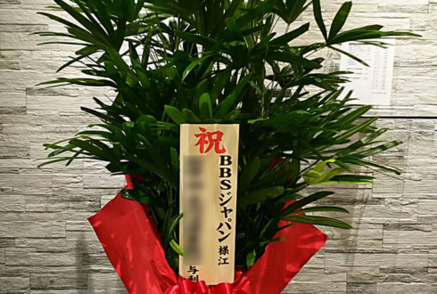 港区芝公園 BBSジャパン株式会社様の移転祝い観葉植物
