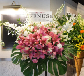 赤坂 VENUS様の開店祝いスタンド花