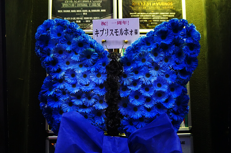 渋谷Glad キプリスモルホォ様の1周年記念ライブ公演祝い蝶モチーフデコフラスタ
