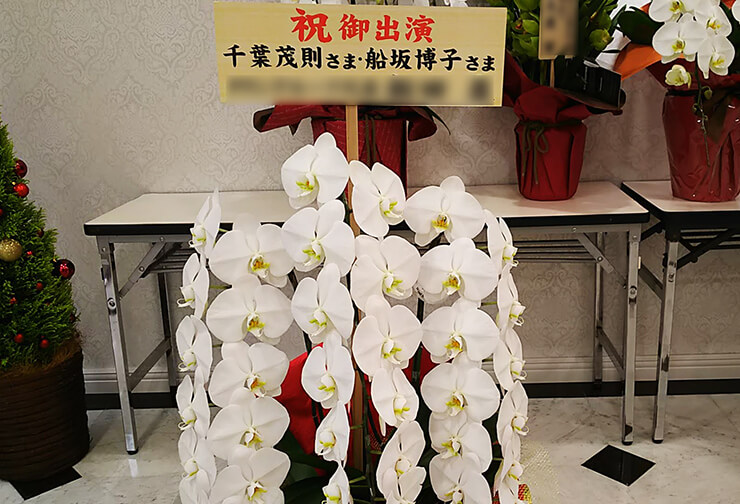 三越劇場 千葉茂則様 船坂博子様の舞台「グレイクリスマス」出演祝い胡蝶蘭