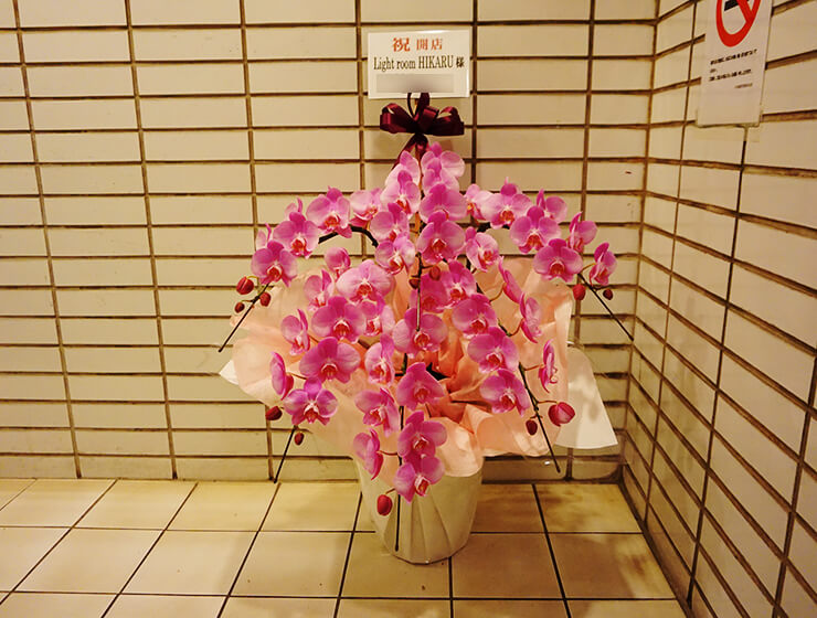 六本木 Light room HIKARU様の開店祝い胡蝶蘭
