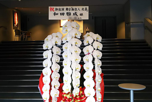 新国立劇場 和田雅成様の舞台出演祝い胡蝶蘭 ロング60輪