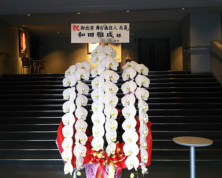 新国立劇場 和田雅成様の舞台出演祝い胡蝶蘭 ロング60輪