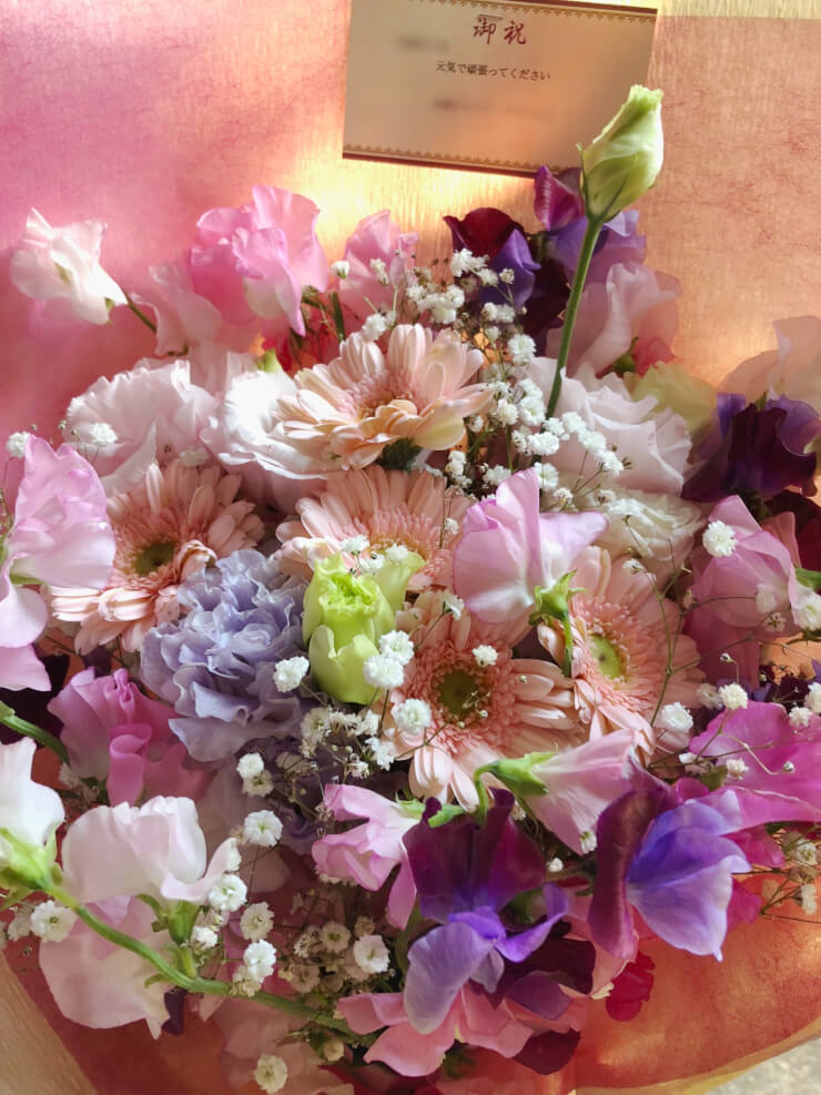 すべての美しい花の画像 トップ100 退院 祝い 花 言葉