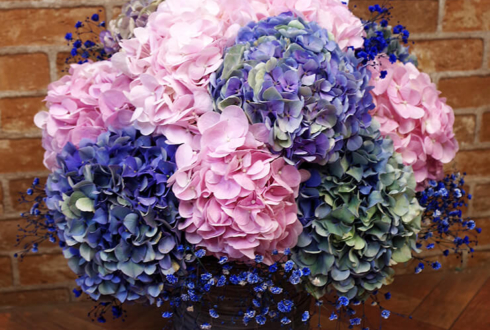 紫陽花をラウンド状にたっぷりと使用して、まん丸の紫陽花ボールのように。 ボリューム感もあって紫陽花好きにはたまらない可愛さです。 ご指定のブルーのカスミソウを添えて。