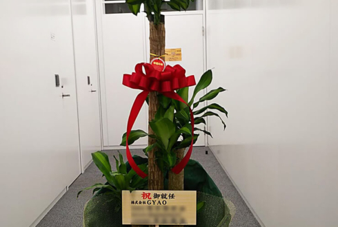 千代田区紀尾井町 株式会社GYAO様の就任祝い観葉植物 幸福の木