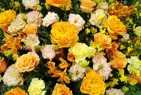 下北沢ザ・スズナリ 宮原奨伍様の舞台「おもったことは、なかったです」出演祝いハープスタンド花