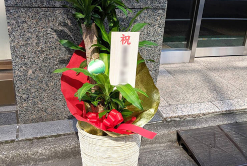 八重洲 ウインセンス株式会社様の移転祝い観葉植物 ドラセナ