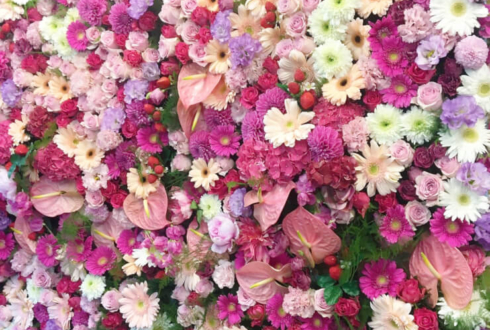 西荻ターニング 富樫世羅様のBDイベント祝いフラワーウォール ピンクの花壁