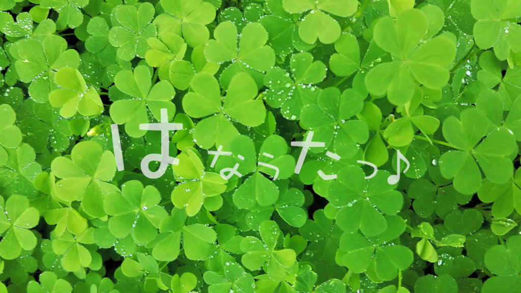 騒がしい 日々 に 笑え なくなっ てい た 僕 の 目 に 映る 君 は 綺麗 だ