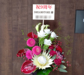 DREAM STORE様の9周年祝い花 @歌舞伎町