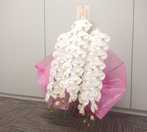 新宿 花屋 はなしごと