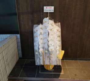 琥珀 AZABU 麻布十番店様の8周年祝い胡蝶蘭