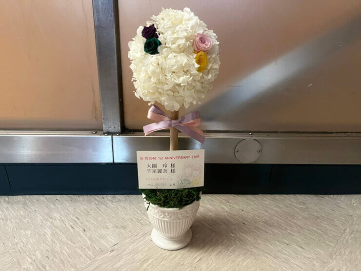 櫻坂46 大園玲様 守屋麗奈様のライブ公演祝い花 桜の木イメージトピアリー @日本武道館
