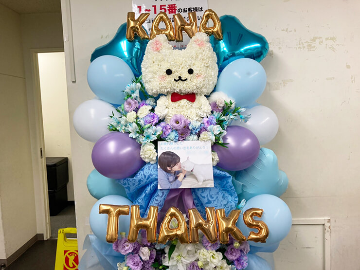 朝日花奈様の『オフィスAUI 10周年特番SP』出演祝い白猫モチーフフラスタ @WALLOP放送局