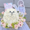 日向坂46 松田好花様のリアルミーグリ祝い花 ポメラニアンモチーフアレンジ @幕張メッセ