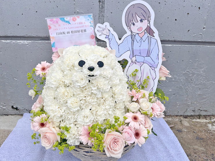 日向坂46 松田好花様のリアルミーグリ祝い花 ポメラニアンモチーフアレンジ @幕張メッセ