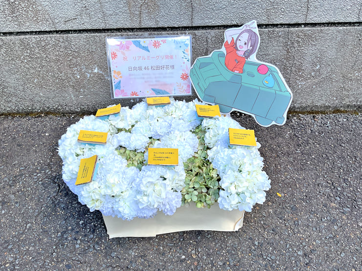 日向坂46 松田好花様のリアルミーグリ開催祝い花 @京都パルスプラザ