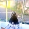 日向坂46 金村美玖様のリアルミーグリ開催祝い花 衣装再現プリザーブドフラワーミニトルソーアレンジ @京都パルスプラザ