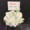 22/7 西條和様 滝川みう様の卒業コンサート公演祝い花 @Zepp Haneda