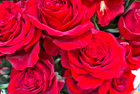 皇あまね様 庄司宇芽香様のプリティーシリーズ Crossing Live 2025出演祝いフラスタ @パシフィコ横浜