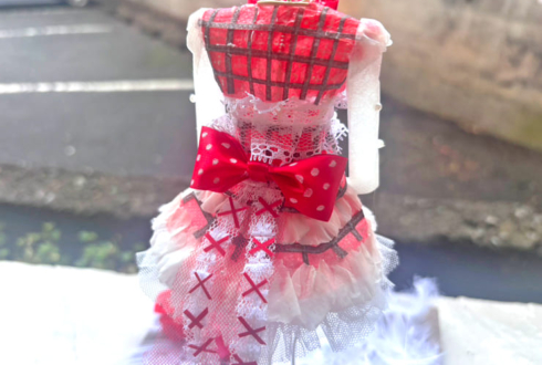 乙花ゆい様の卒業祝い花 プリザーブドフラワーミニトルソーアレンジ @埼玉スタジアム2002【ご自宅配送】